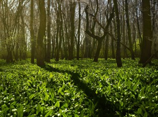 访农户，，，，，，，送手艺！ “中国农资”现代农业效劳团队助力秋粮生产