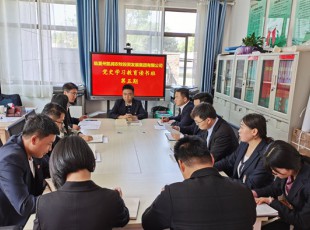 suncitygroup太阳集团  举行党史学习教育第五期念书班