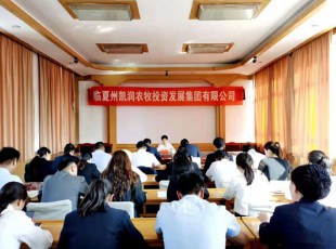 suncitygroup太阳集团  召开党史学习教育专题向导